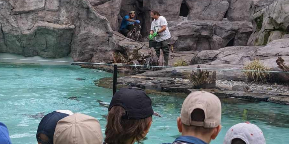 Projekt bez nazwy – 2024-07-04T161446.088