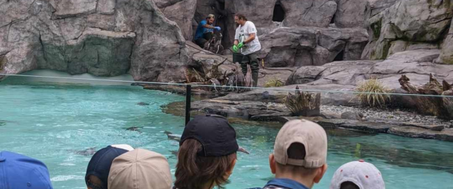 Projekt bez nazwy – 2024-07-04T161446.088