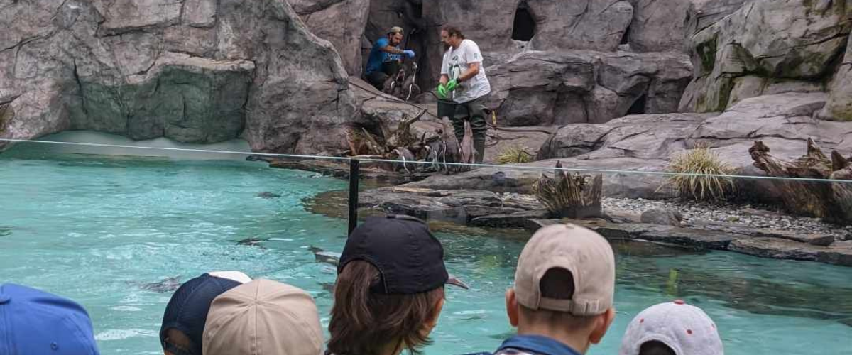 Projekt bez nazwy – 2024-07-04T161446.088