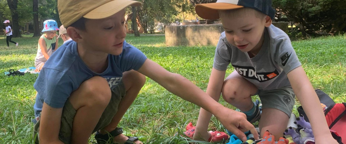 Projekt bez nazwy – 2024-08-31T131319.609