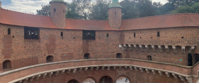 Projekt bez nazwy (41)