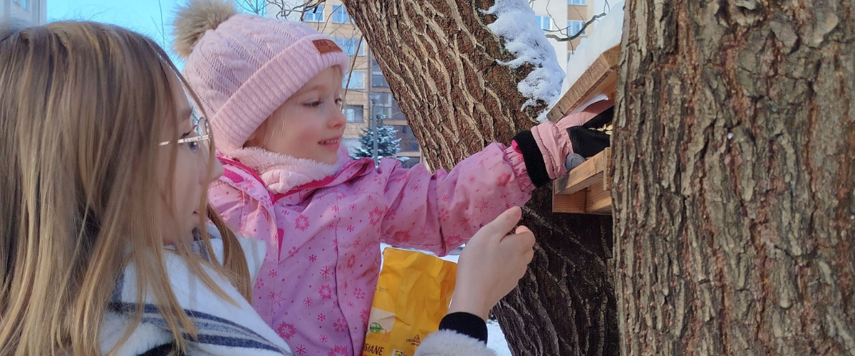 Projekt bez nazwy (56)