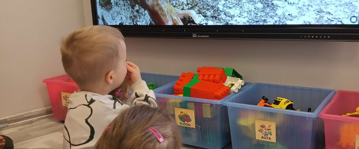 Projekt bez nazwy – 2025-03-31T091117.581