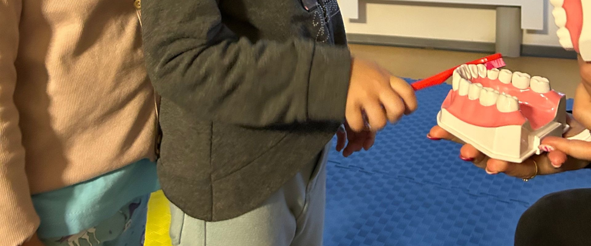 Projekt bez nazwy – 2025-05-21T124536.397