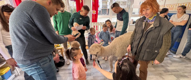 Projekt bez nazwy (40)