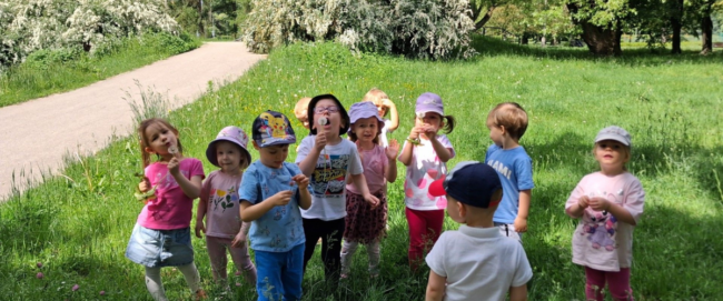 Projekt bez nazwy (4)